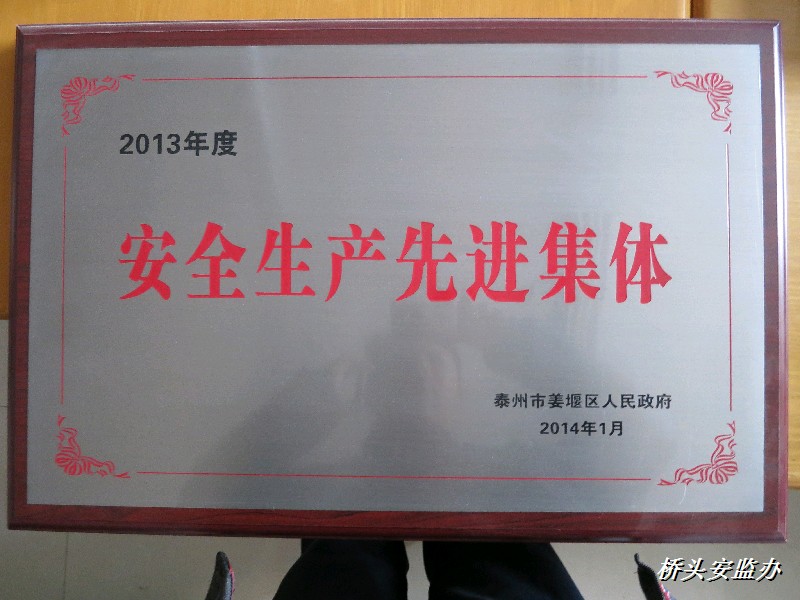 2013年度荣誉奖牌